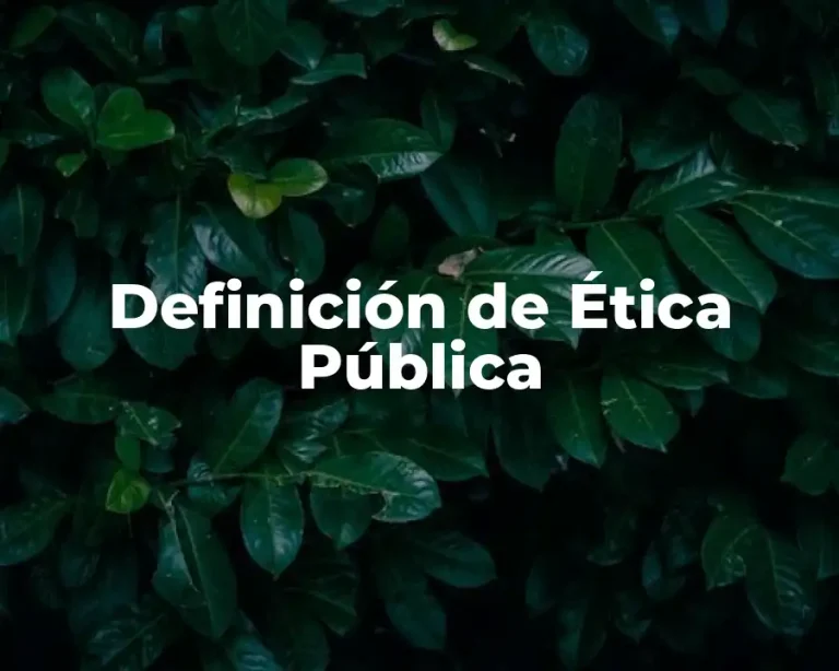 Definición de Ética Pública