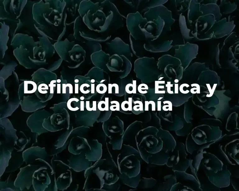 Definición de Ética y Ciudadanía
