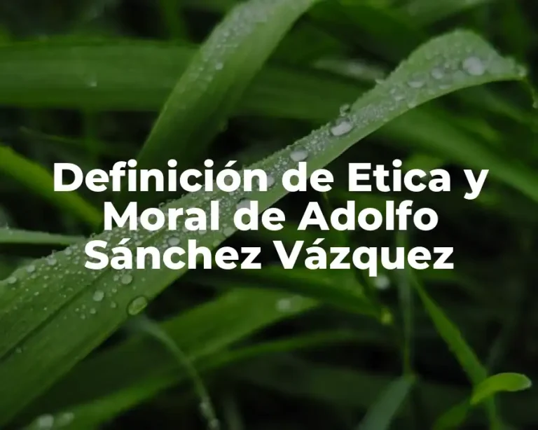 Definición de Etica y Moral de Adolfo Sánchez Vázquez