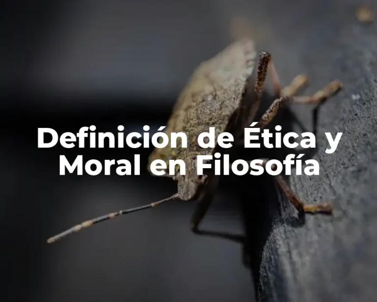 Definición de Ética y Moral en Filosofía