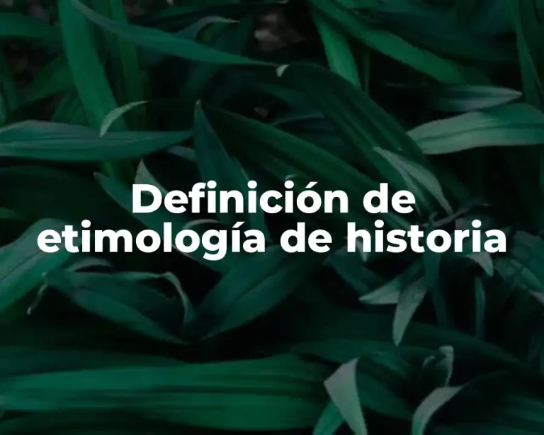 Definición de etimología de historia