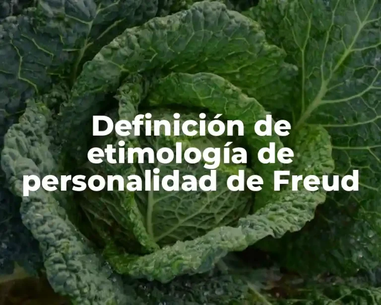 Definición de etimología de personalidad de Freud
