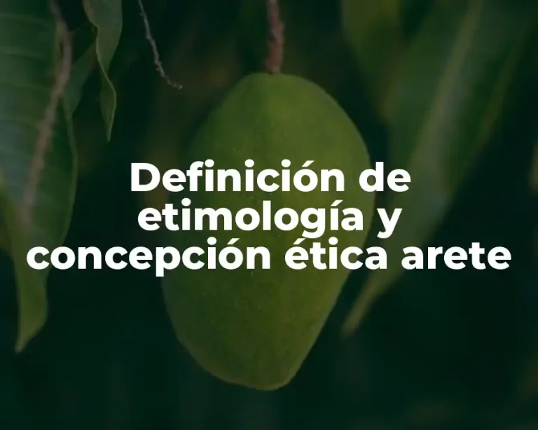 Definición de etimología y concepción ética arete