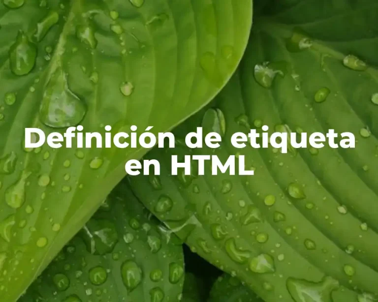 Definición de etiqueta en HTML