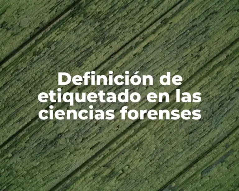 Definición de etiquetado en las ciencias forenses