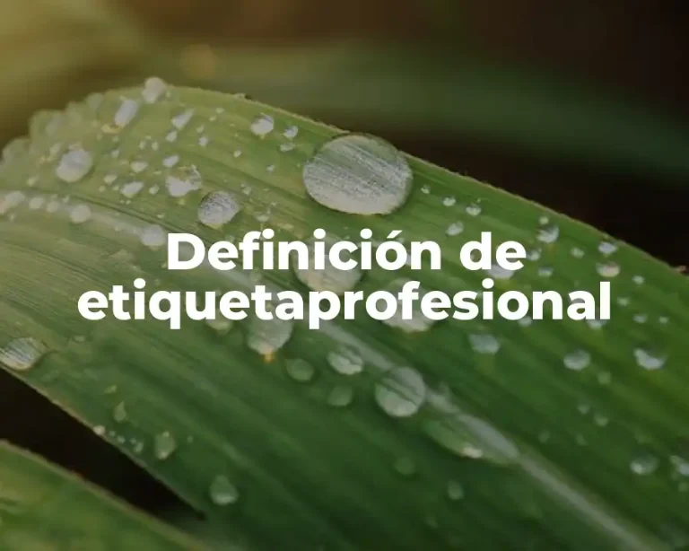 Definición de etiquetaprofesional