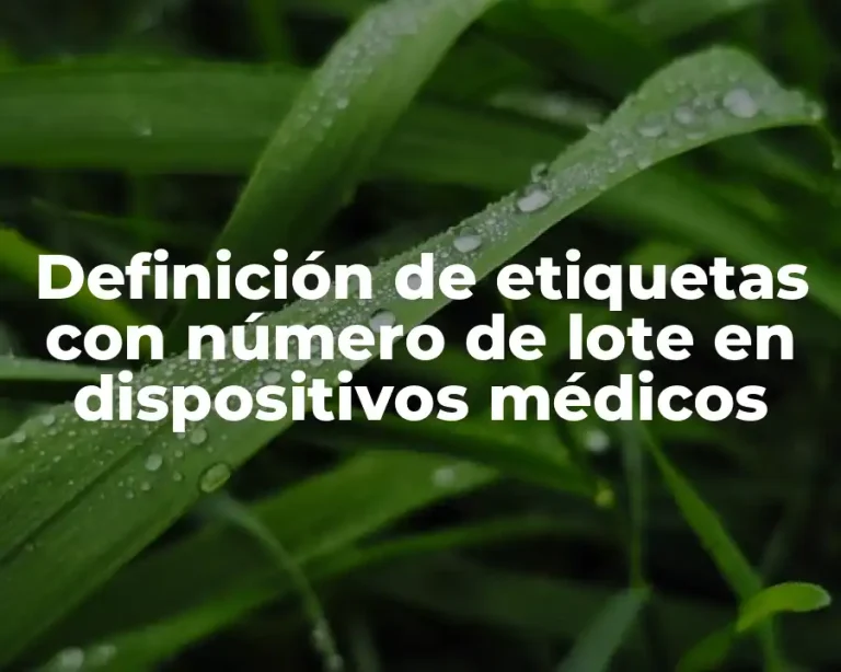 Definición de etiquetas con número de lote en dispositivos médicos