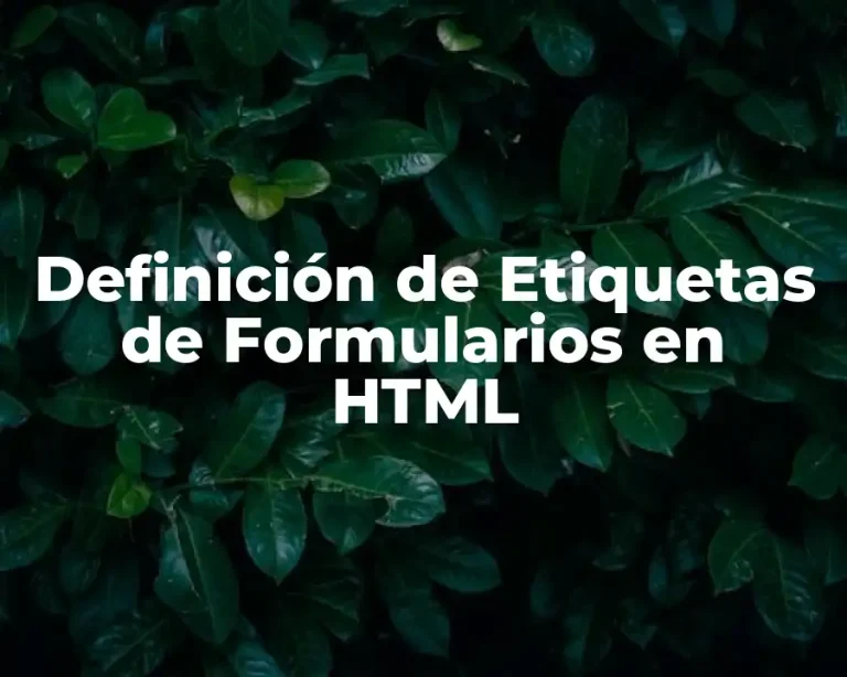Definición de Etiquetas de Formularios en HTML