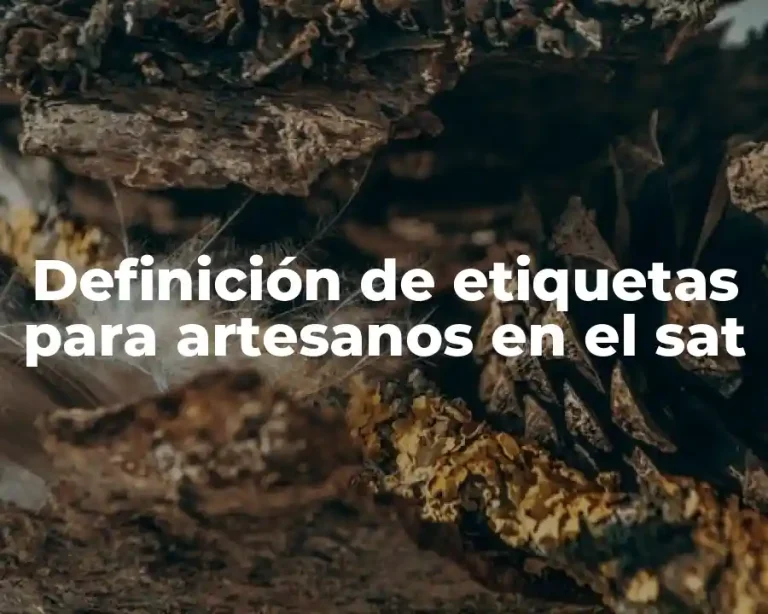 Definición de etiquetas para artesanos en el sat
