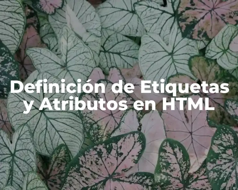 Definición de Etiquetas y Atributos en HTML