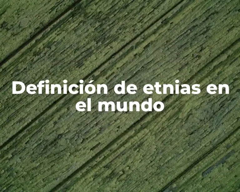 Definición de etnias en el mundo