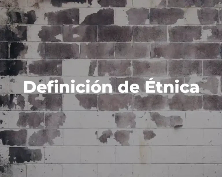 Definición de Étnica
