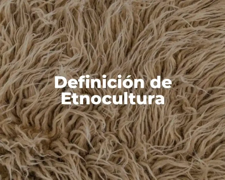 Definición de Etnocultura
