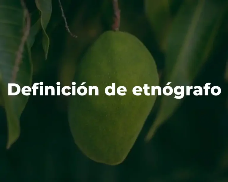 Definición de etnógrafo