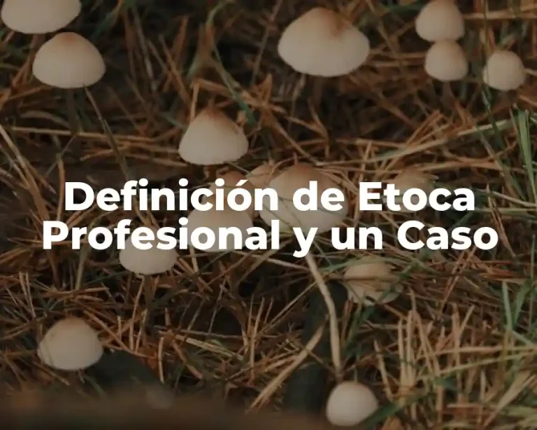 Definición de Etoca Profesional y un Caso