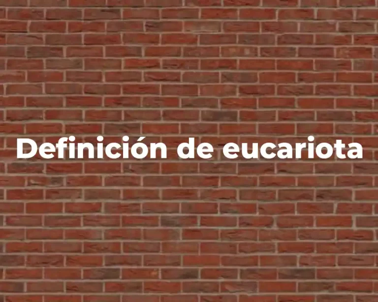 Definición de eucariota