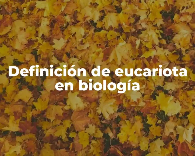Definición de eucariota en biología