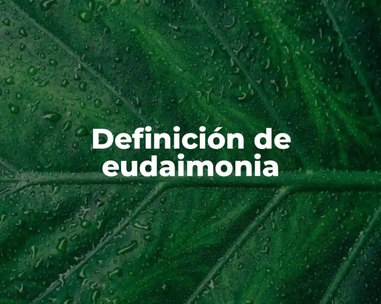 Definición de eudaimonia