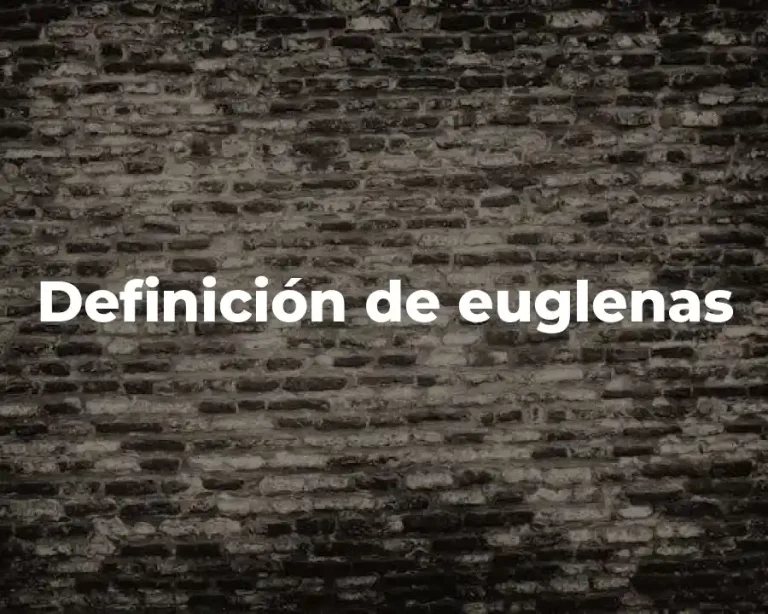 Definición de euglenas