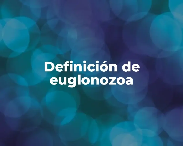 Definición de euglonozoa