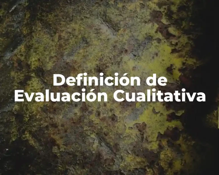 Definición de Evaluación Cualitativa