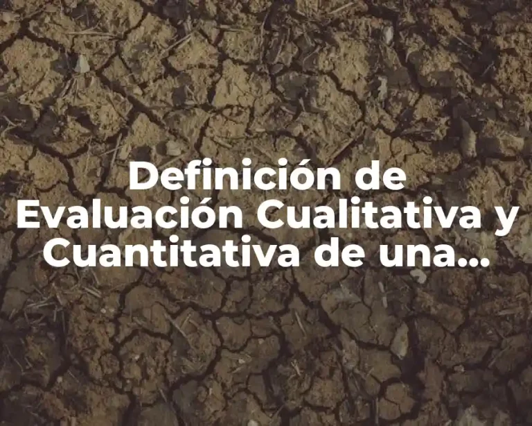 Definición de Evaluación Cualitativa y Cuantitativa de una Empresa
