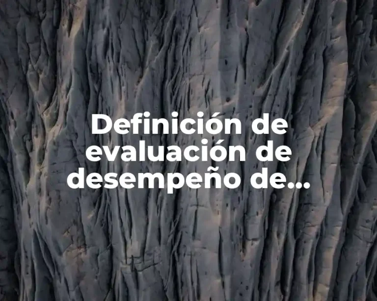 Definición de evaluación de desempeño de proyectos