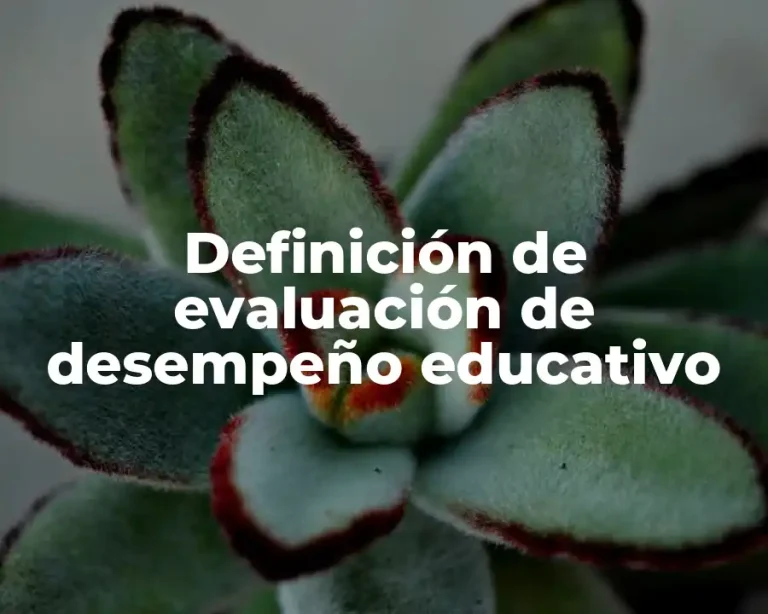 Definición de evaluación de desempeño educativo