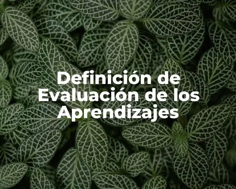 Definición de Evaluación de los Aprendizajes