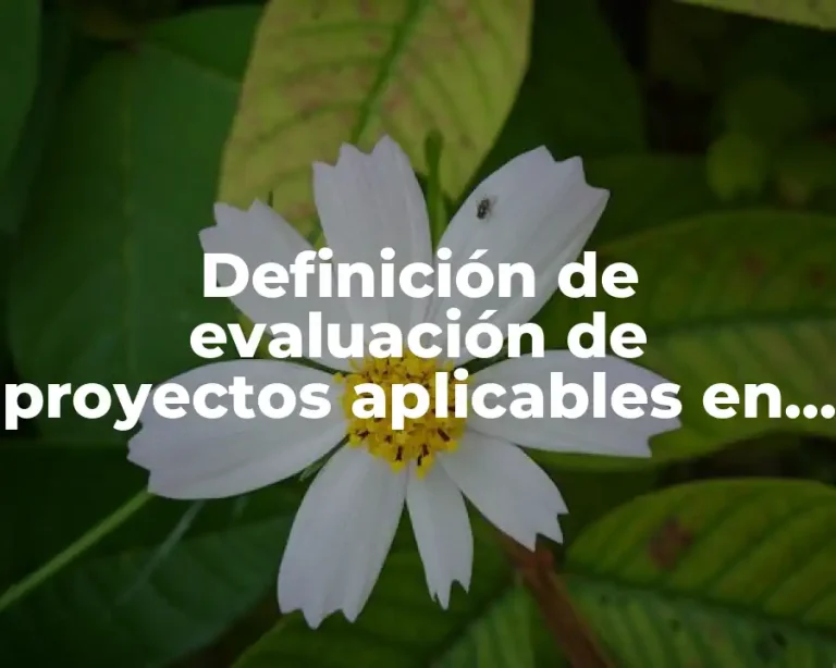 Definición de evaluación de proyectos aplicables en el trabajo