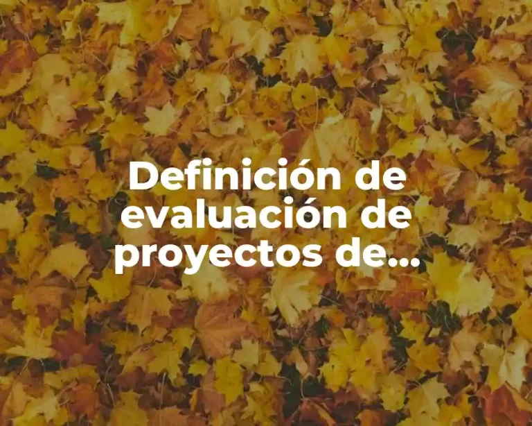 Definición de evaluación de proyectos de exportación