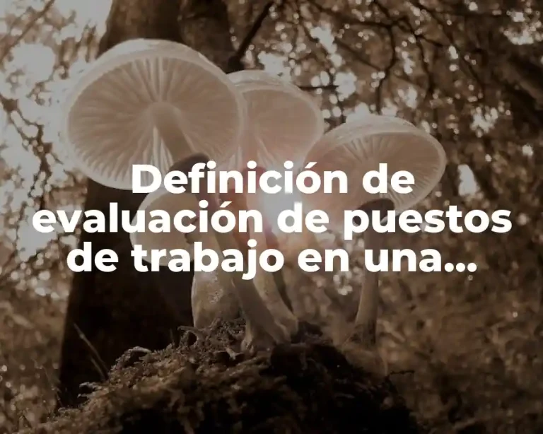 Definición de evaluación de puestos de trabajo en una empresa