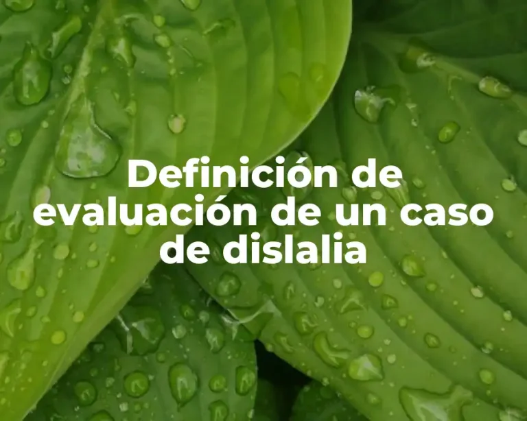 Definición de evaluación de un caso de dislalia