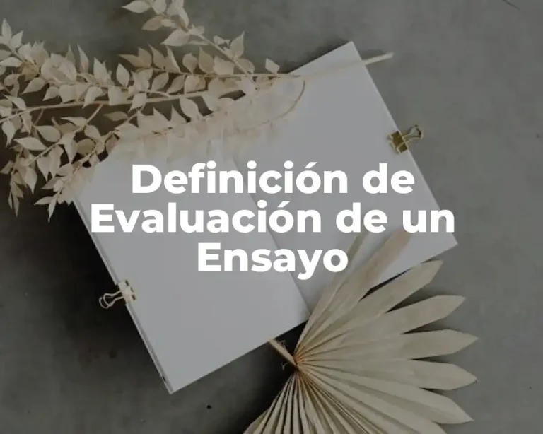 Definición de Evaluación de un Ensayo