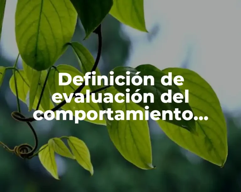 Definición de evaluación del comportamiento preventivo en trabajo social