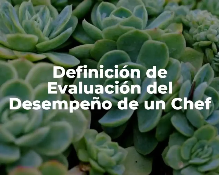 Definición de Evaluación del Desempeño de un Chef