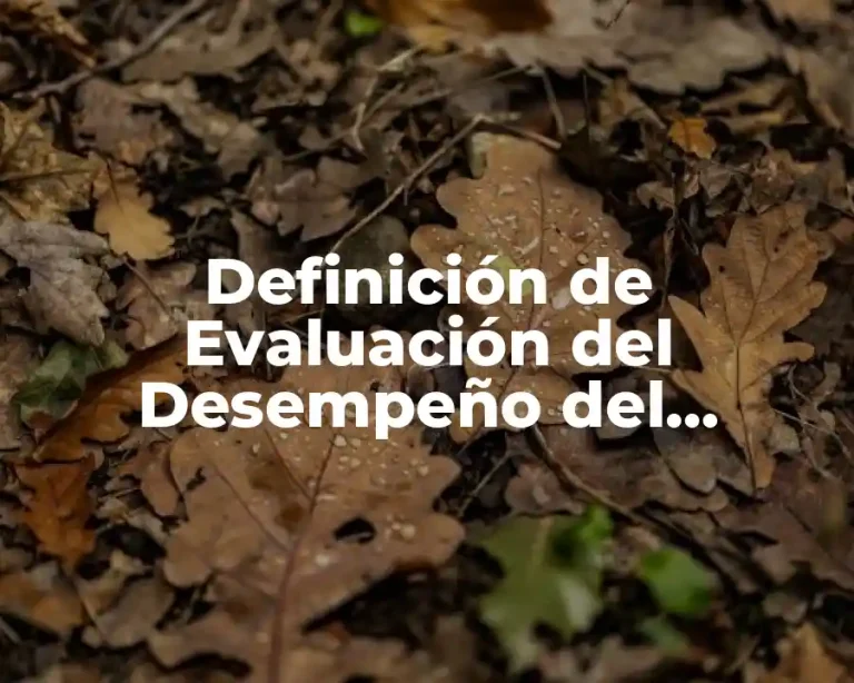 Definición de Evaluación del Desempeño del Personal