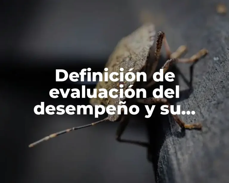 Definición de evaluación del desempeño y su proceso