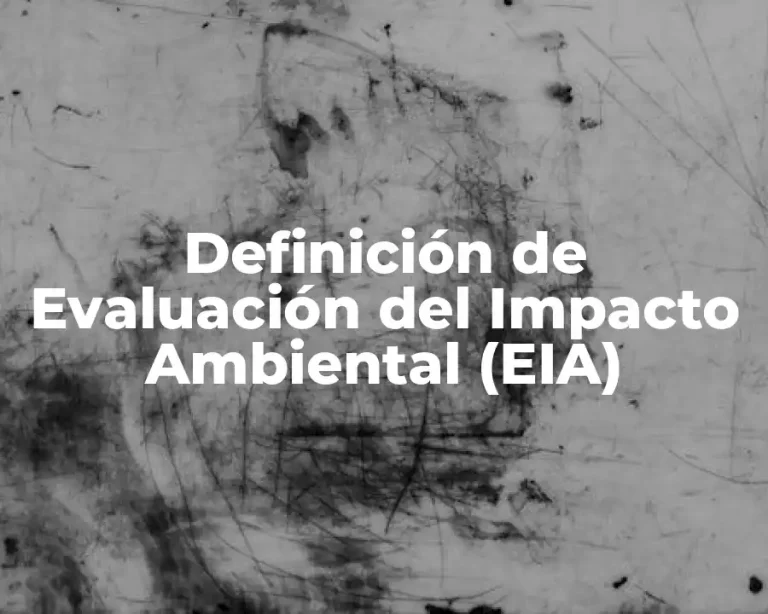 Definición de Evaluación del Impacto Ambiental (EIA)