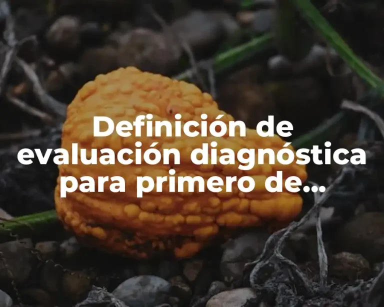 Definición de evaluación diagnóstica para primero de preescolar