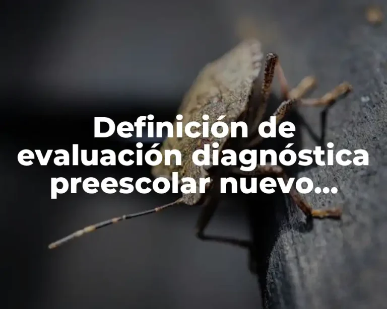 Definición de evaluación diagnóstica preescolar nuevo modelo educativo