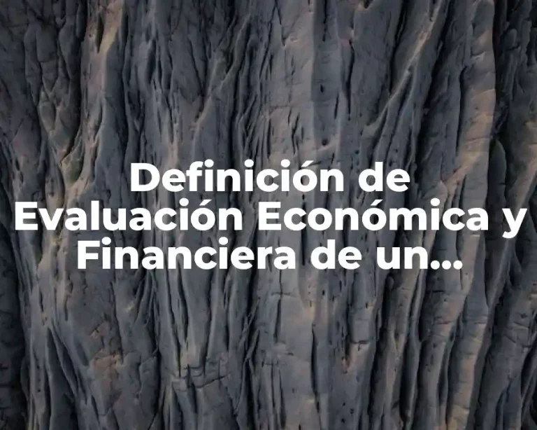 Definición de Evaluación Económica y Financiera de un Proyecto