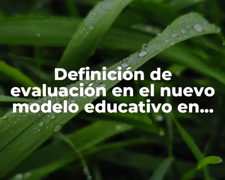 Definición de evaluación en el nuevo modelo educativo en prescolar