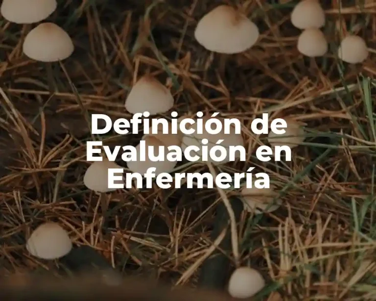 Definición de Evaluación en Enfermería