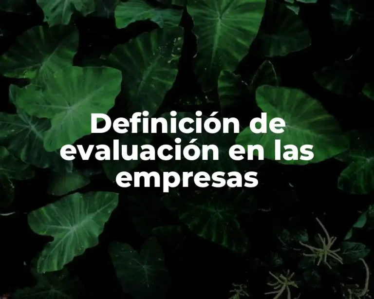 Definición de evaluación en las empresas