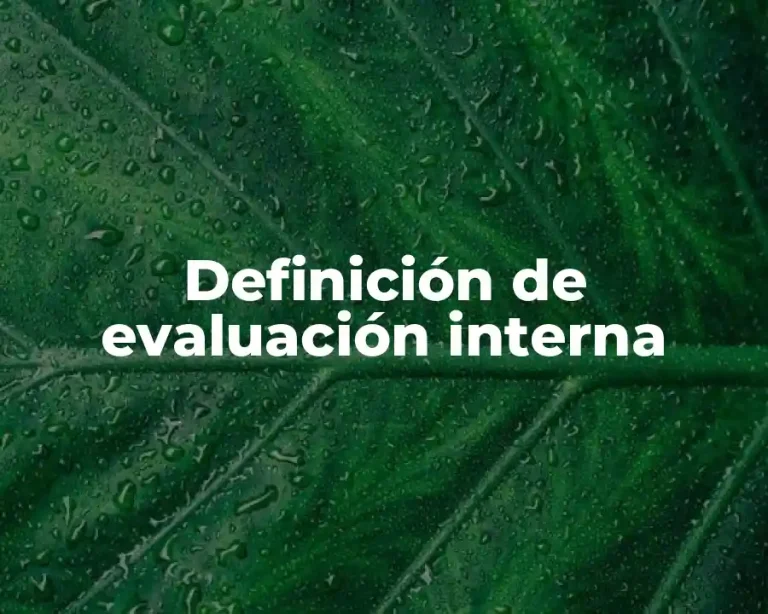 Definición de evaluación interna