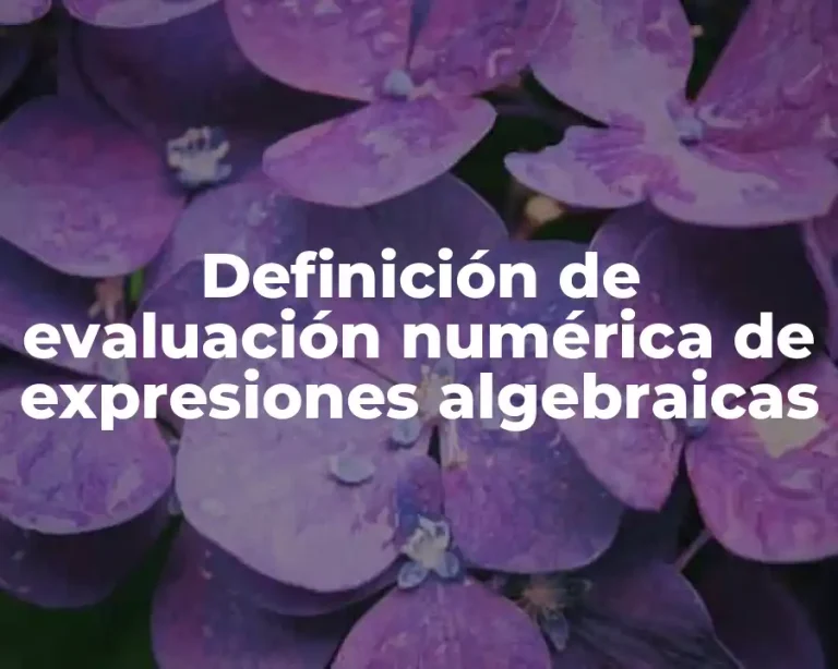 Definición de evaluación numérica de expresiones algebraicas