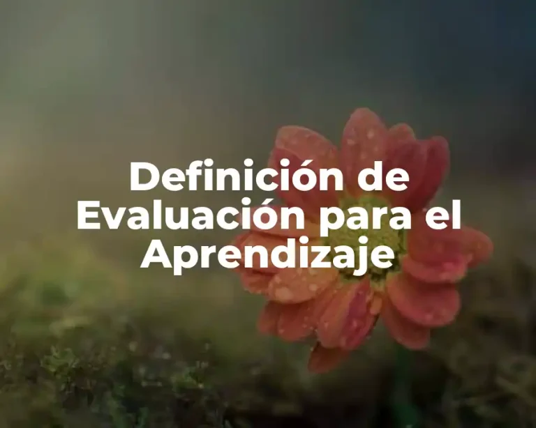 Definición de Evaluación para el Aprendizaje