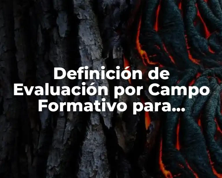 Definición de Evaluación por Campo Formativo para Preescolar