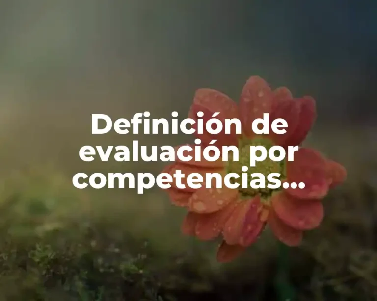 Definición de evaluación por competencias orientadas al desempeño